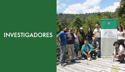 bajoinvestigadores