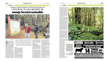 Llancahue: Un caso ejemplar de Manejo Forestal Sostenible