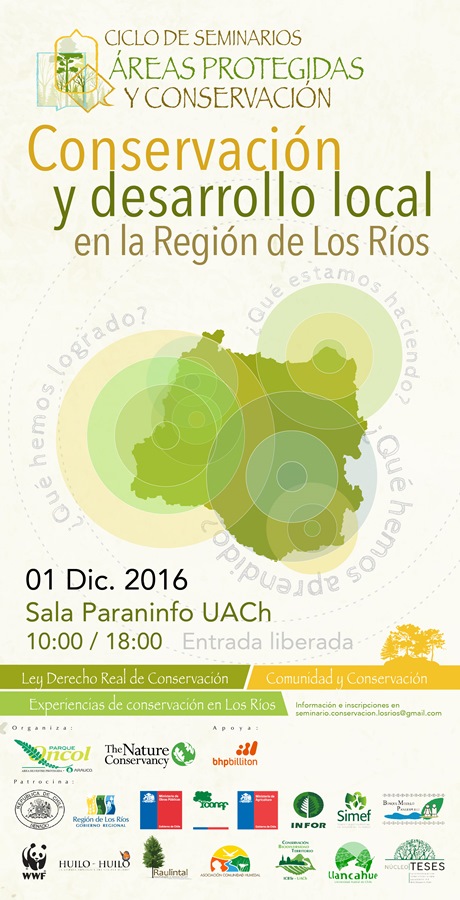 seminarioap-afiche-1-w800-1