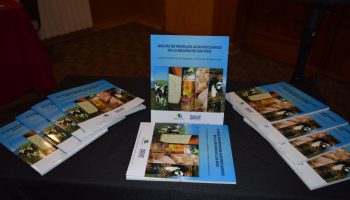Académico de la UACh presentó libro sobre Biogás de Residuos Agropecuarios en la región de Los Ríos.
