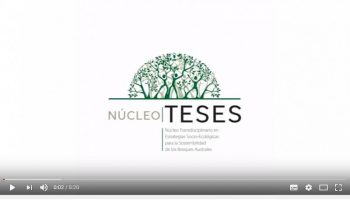 Trabajo audiovisual explica el quehacer del Núcleo de Investigación TESES
