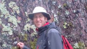 El uso del modelamiento espacio-temporal multi-objetivo en la gestión forestal para evaluar los efectos del cambio global en el suministro de servicios ecosistémicos.