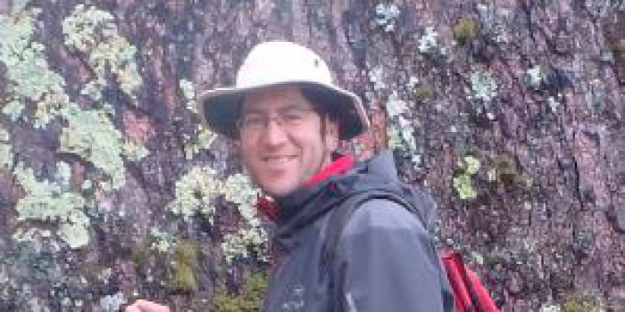 El uso del modelamiento espacio-temporal multi-objetivo en la gestión forestal para evaluar los efectos del cambio global en el suministro de servicios ecosistémicos.