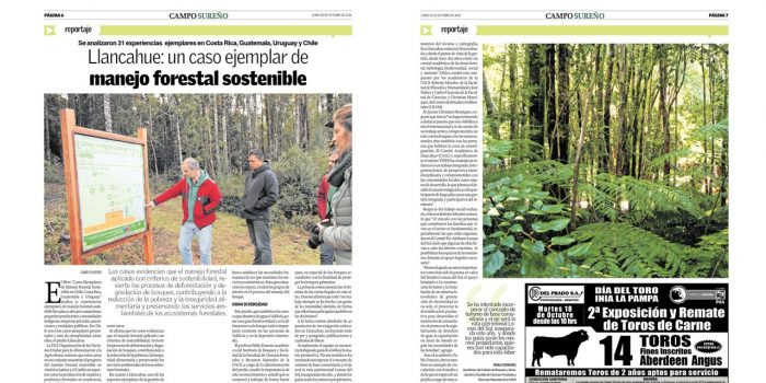Llancahue: Un caso ejemplar de Manejo Forestal Sostenible