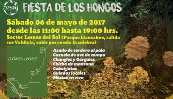 Invitan a Fiesta de los Hongos en sector Lomas del Sol