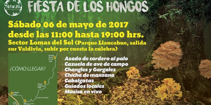 Invitan a Fiesta de los Hongos en sector Lomas del Sol