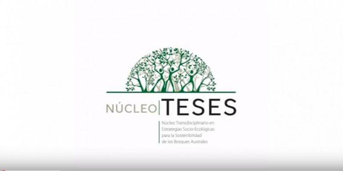 Trabajo audiovisual explica el quehacer del Núcleo de Investigación TESES