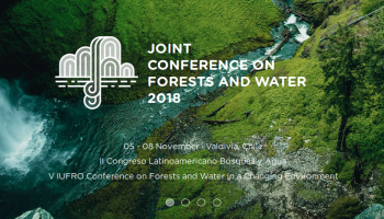 Investigadores y profesionales de todo el mundo se reunirán en Congreso enfocado al bosque y el agua