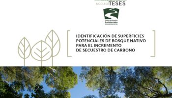 Identificación De Superficies Potenciales De Bosque Nativo Para El Incremento De Secuestro De Carbono
