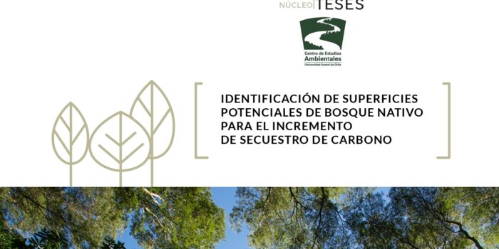 Identificación De Superficies Potenciales De Bosque Nativo Para El Incremento De Secuestro De Carbono